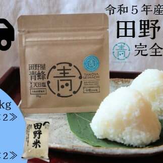 ≪先行受付中：定期便3ヵ月（12月～2月）≫  ★ 令和5年産 新米 ★【四国一小さなまち】 田野米 10kg ＋ 田野屋青蜂 完全天日塩 40g ～ 精米 ・ 白米 ～ 