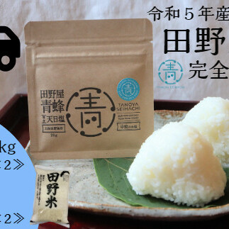 ≪先行受付中：定期便3ヵ月（1月～3月）≫  ★ 令和5年産 新米 ★【四国一小さなまち】 田野米 10kg ＋ 田野屋青蜂 完全天日塩 40g ～ 精米 ・ 白米 ～ 