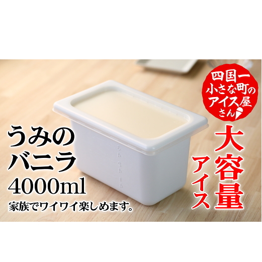 【四国一小さなまちのアイス屋さん】≪松崎冷菓≫大容量アイス 4000ml ★うみのバニラ★ 4l アイスミルク スイーツ デザート 天日塩 おすすめ 美味しい 高知県 田野町