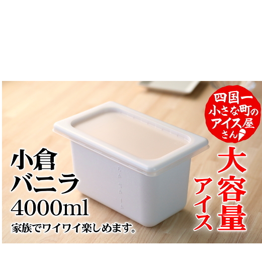 【四国一小さなまちのアイス屋さん】≪松崎冷菓≫大容量アイス 4000ml ★小倉バニラ★ 4l スイーツ デザート おすすめ 美味しい 高知県 田野町
