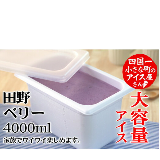 ふるさと納税 田野町 【四国一小さなまちのアイス屋さん】≪松崎