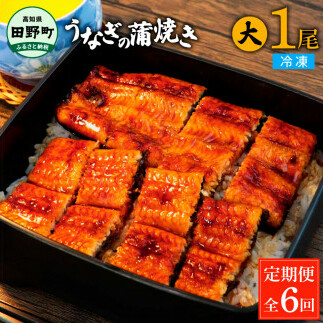 田野町産うなぎの蒲焼き(大) 1尾×6回 定期便 6ヶ月 定期コース 1尾あたり120~150g タレ付き 山椒付き うなぎ 鰻 ウナギ 蒲焼き かば焼き 無頭 おいしい 国産 お取り寄せ 冷凍 配送