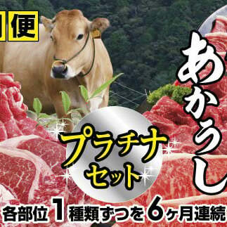 【四国一小さなまち】～2024年2月発送開始～ 『土佐あかうし』食べつくし！プラチナセット【B】★6ヶ月定期便★