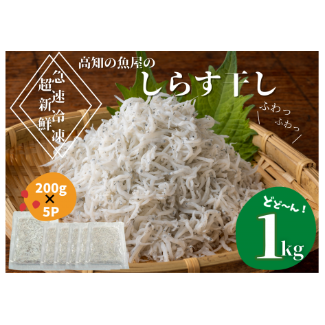 【四国一小さなまち】★カネアリ水産★ふわっふわ!土佐のしらす干し 1kg(約200g×5パック) しらす しらす干し じゃこ ちりめんじゃこ ちりめん 干し 魚介 魚介類 栄養 栄養満点 離乳食 土佐 海鮮 魚屋 さかな 新鮮 食品 冷凍