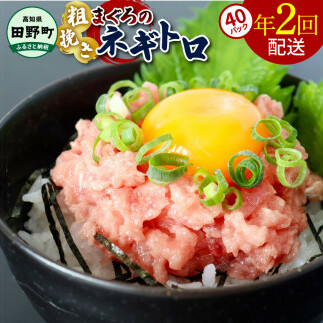 ~四国一小さなまち~ ≪カネアリ水産≫ まぐろのネギトロ 3,200g(80g×40パック)×年2回配送 ねぎとろ 鮪 マグロ キハダマグロ まぐろたたき 粗挽き 小分け パック 海鮮 魚介 便利