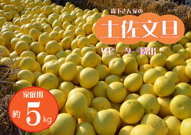 【先行予約受付中 2026年発送】森下さん家の(家庭用)土佐文旦(約5kg/8～12玉) 　フルーツ 果物 新鮮 柑橘