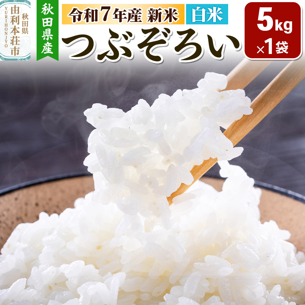 【白米】秋田県由利本荘市産 つぶぞろい 5kg 令和7年産