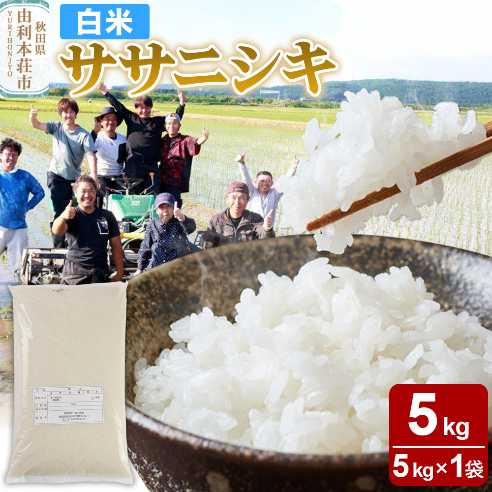 【白米】秋田県由利本荘市産 ササニシキ 5kg（5kg×1袋）令和6年産