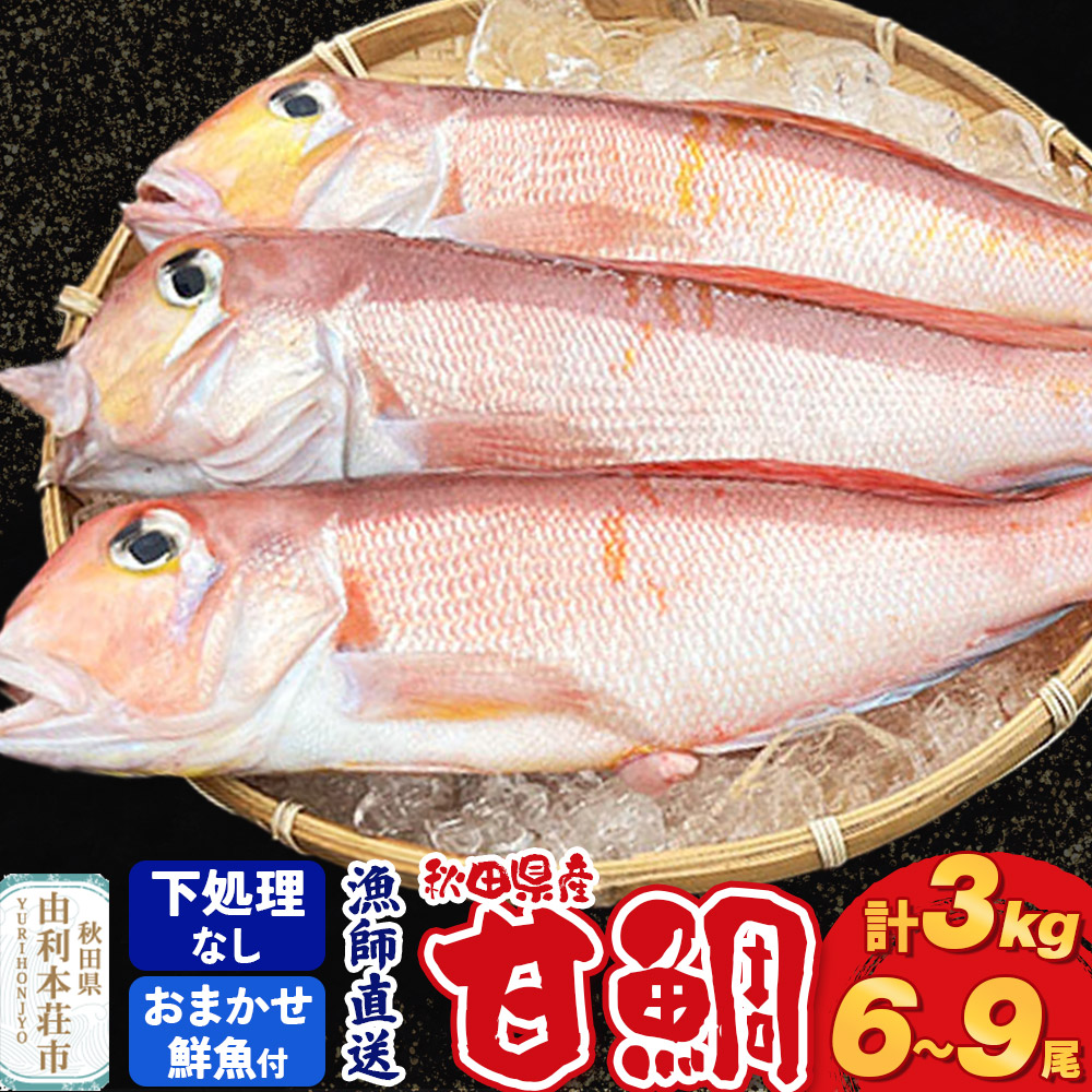 《予約受付》漁師直送 甘鯛（あまだい）3kg＋おまかせ鮮魚 秋田県産【下処理なし】