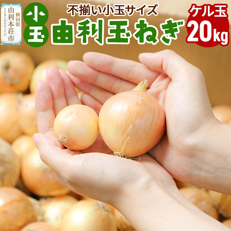 由利本荘市産　由利玉ねぎ（小玉）20kg【ケル玉】