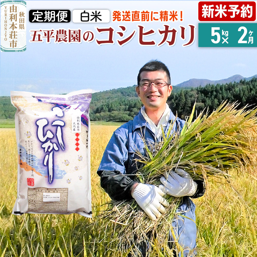 《新米予約》《定期便2ヶ月》【白米】コシヒカリ 令和7年産 秋田県産 五平農園のコシヒカリ 5kg