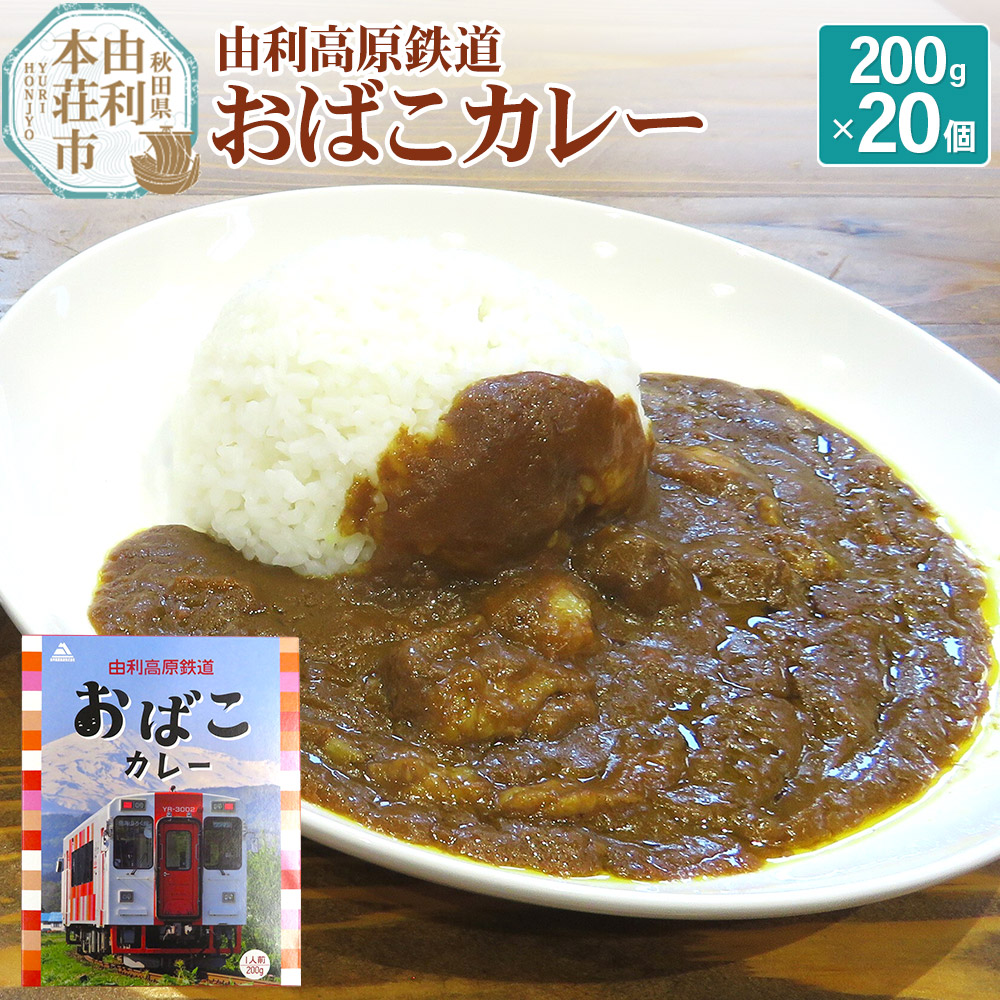 由利高原鉄道 おばこカレー 中辛 200g×20個セット