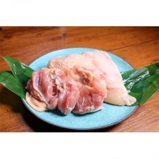 神奈川県産地鶏 丹沢滋黒軍鶏 もも・むね肉セット 約500g【配送不可地域:離島・沖縄】【1138247】