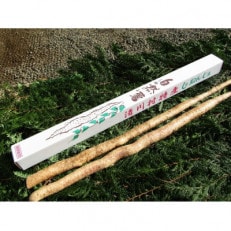 清川村特産 きよかわ自然薯1200(約1.2kg)本数おまかせ【1326823】