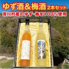 道の駅「清川」からお届け!『きよかわ ゆず酒・梅酒セット』【1381121】