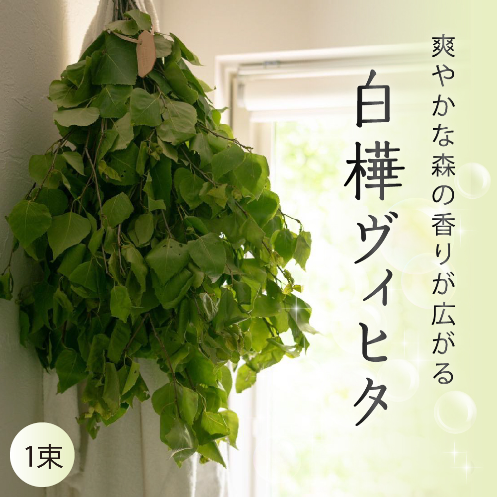 【先行受付】北海道芽室町産「白樺ヴィヒタ」1束 me055-001c-3