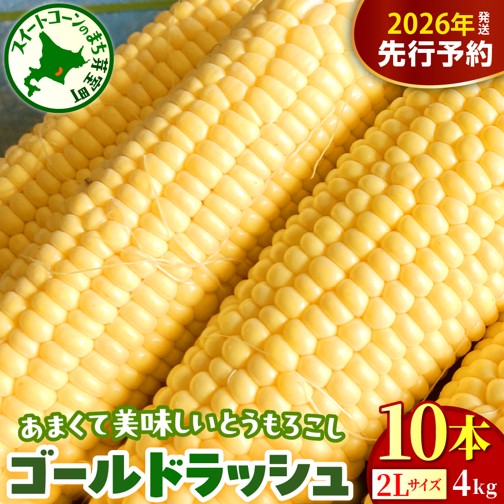 [先行受付][2026年8月上旬〜8月下旬頃配送]北海道十勝芽室町 とうもろこし ゴールドラッシュ 2Lサイズ 10本セット キャンプ飯 BBQ ソロキャン 人気 とうもろこし コーン 生 甘い 大粒 大容量 野菜 北海道 十勝 芽室町 めむろ 送料無料 お取り寄せ 贈り物 me078-003c-26