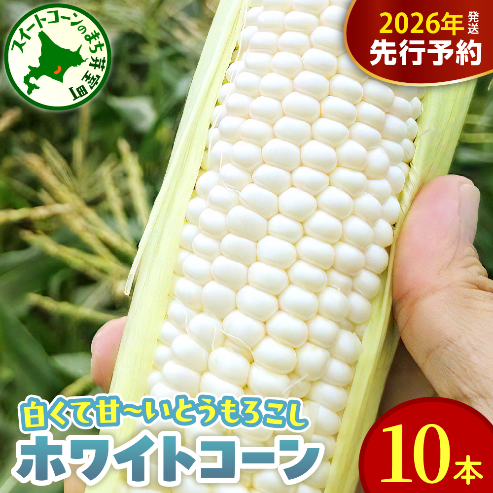 [先行受付][2026年8月10日〜8月下旬配送]北海道 十勝芽室町 とうもろこし ホワイトコーン 10本セット キャンプ飯 BBQ ソロキャン 人気 とうもろこし コーン 生 甘い 大粒 大容量 野菜 北海道 十勝 芽室町 めむろ 送料無料 お取り寄せ 贈り物 me078-004c-26