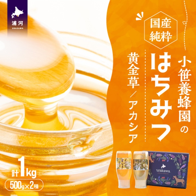 国産純粋完熟はちみつ2種セット(黄金草･アカシア)ご家庭用計1kg[16-1525]