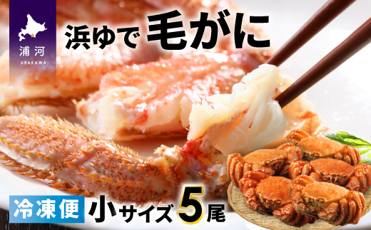 ＜冷凍＞漁協の浜ゆで毛がに 小サイズ５尾セット [02-933]