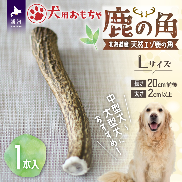 犬用「鹿の角」Ｌサイズ×1本[53-1349] | 北海道浦河町 | JRE MALLふるさと納税