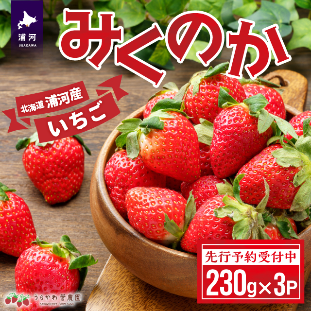 【先行受付開始！】北海道浦河産いちご「みくのか」230g×3P[13-1430]