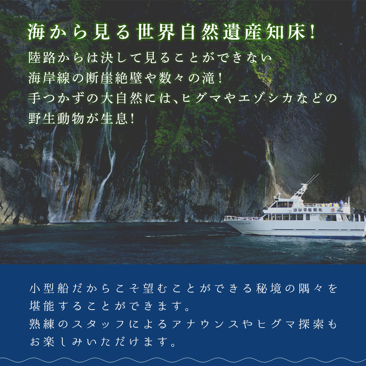 ゴジラ岩観光【ウトロ港発着クルーズ乗船代金3000円割引券】 SHAD001 | 北海道斜里町 | JRE MALLふるさと納税