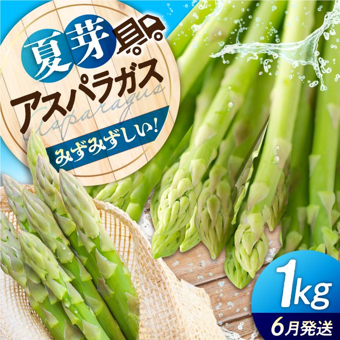 [先行予約]三次の恵みをおふくわけ 朝採れ 夏芽アスパラガス(約1kg)とれたて アスパラ 旬 野菜 三次市/福分アスパラ [APAU002]