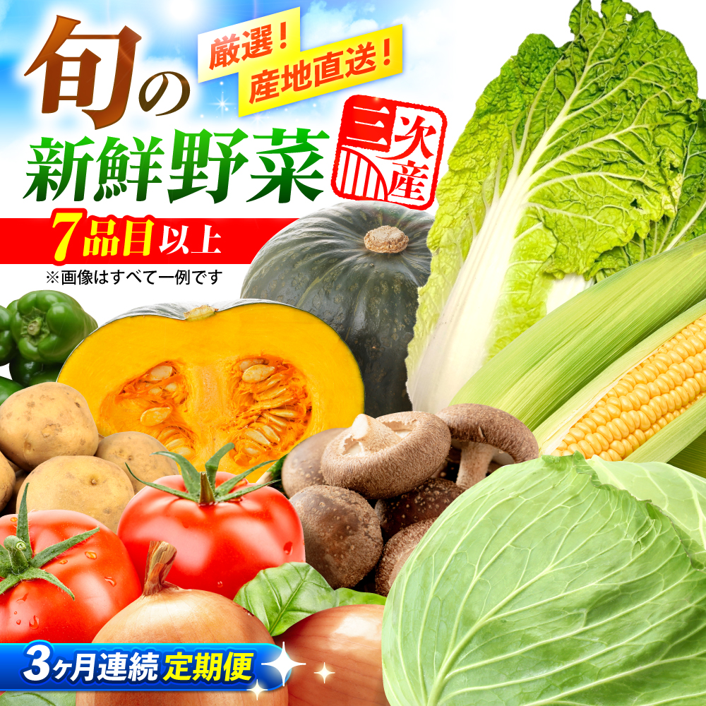 【全3回定期便】厳選！農夫のお野菜セット 旬の野菜 7品目以上 詰め合わせ 野菜セット 新鮮 食材 三次市/布野特産センター [APBA015]