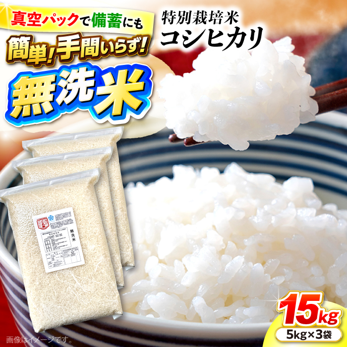 【新品未開封・送料無料】 先行予約】【9月中旬から順次発送】特別栽培米コシヒカリ 真空 米・雑穀・粉類