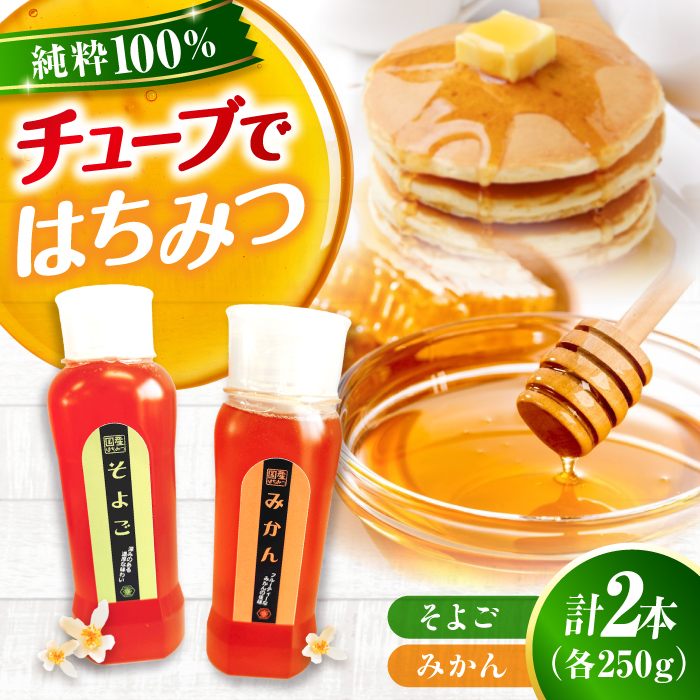 手軽に簡単チューブはちみつ（みかん・そよご）各250g 計2本セット 蜂蜜 ハチミツ お取り寄せ グルメ 三次市/重森養蜂場 [APBO012]
