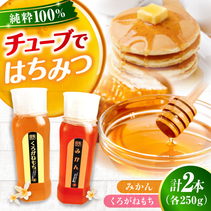 手軽に簡単チューブはちみつ（みかん・くろがねもち）各250g 計2本セット 蜂蜜 ハチミツ お取り寄せ グルメ 三次市/重森養蜂場 [APBO013]