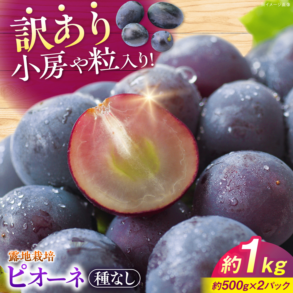 [先行予約][9月上旬から9月末に順次発送][訳あり]ピオーネ 約1kg(約500g×2パック)露地栽培 ぶどう 果物 ピオーネ フルーツ 葡萄 ブドウ 三次市/西田ぶどう園 [APCM006]