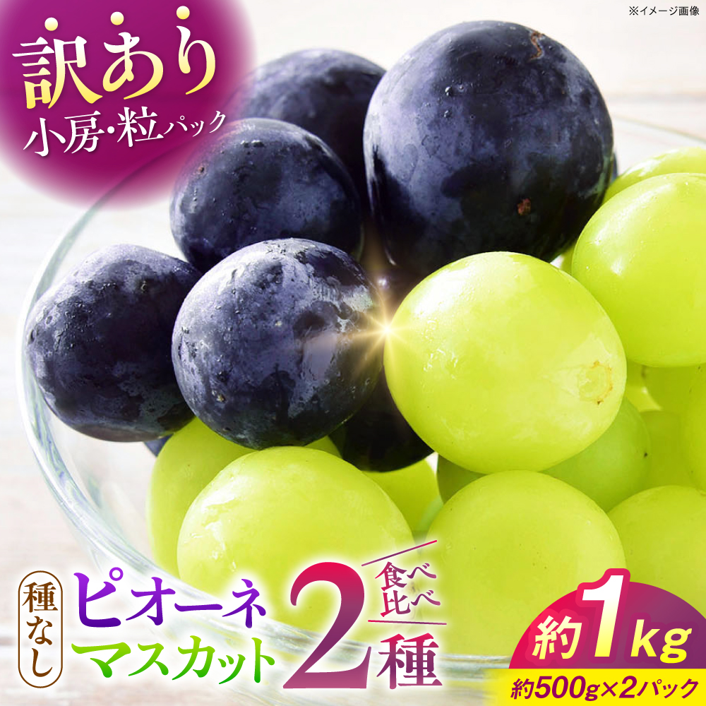 [先行予約][9月中旬から9月末に順次発送][訳あり]ピオーネ&シャインマスカット 2種セット 計約1kg(各約500g×1パック)露地栽培 ぶどう 果物 ピオーネ マスカット フルーツ 葡萄 ブドウ 三次市/西田ぶどう園 [APCM008]