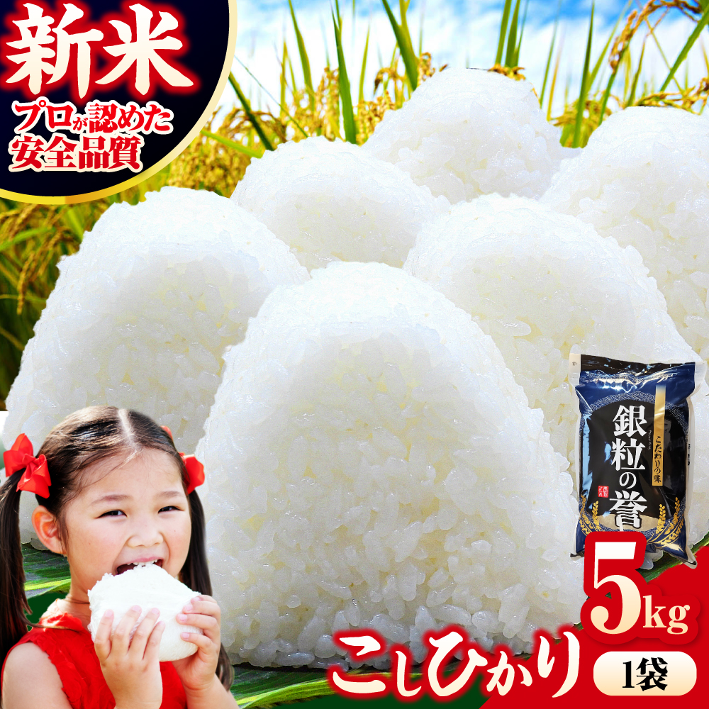 [令和7年産米]米 こしひかり 5kg 白米 お米 ご飯 コシヒカリ 三次市/アグリ君田 [APDC001]
