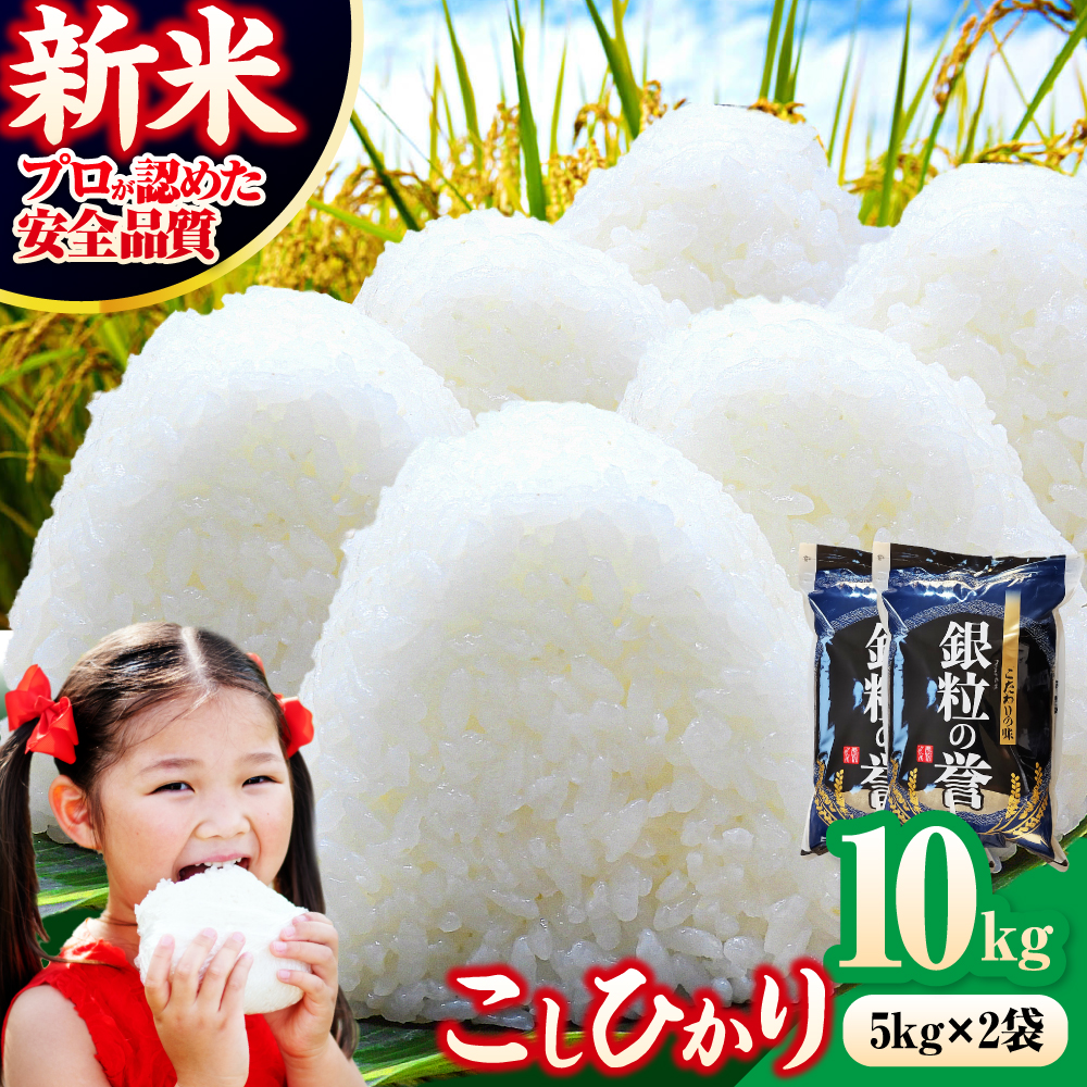 【令和7年産米】米 こしひかり 10kg 白米 お米 ご飯 コシヒカリ 三次市/アグリ君田 [APDC002]