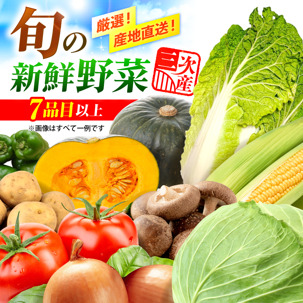 厳選！農夫のお野菜セット 旬の野菜 7品目以上 詰め合わせ 野菜セット 新鮮 食材 三次市/布野特産センター[APBA001]