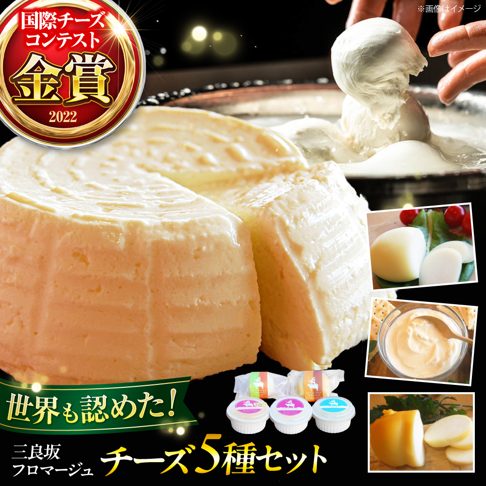 三良坂フロマージュセット ギフト デザート 乳製品 スイーツ 三次市/三良坂フロマージュ[APAV004]