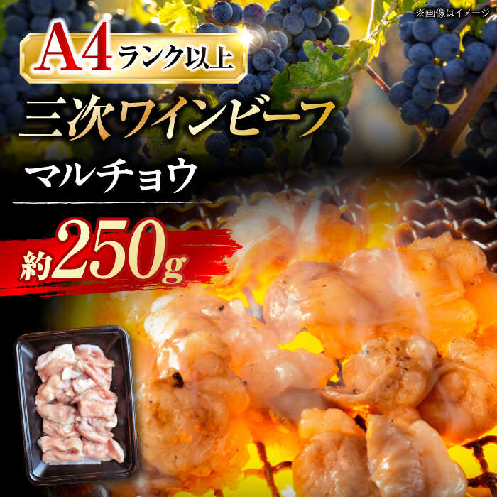 三次ワインビーフ マルチョウ 250g 三次市/三次ワインビーフ みーとのば [APAX004]