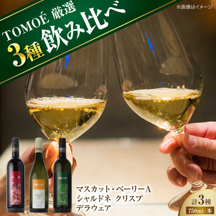 〜TOMOE 厳選3種〜おすすめ飲み比べ3種セット ワイン 受賞 飲み比べ ワインセット ギフト 三次市/広島三次ワイナリー [APAZ027]