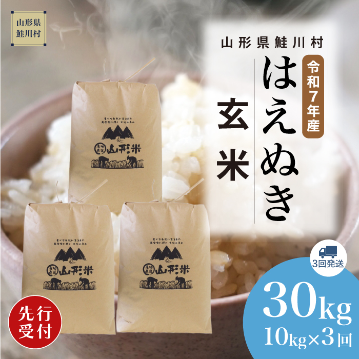 [令和7年産米先行受付] 山形県産 はえぬき [玄米]30kg 定期便 (10kg×3回) 配送時期指定できます!