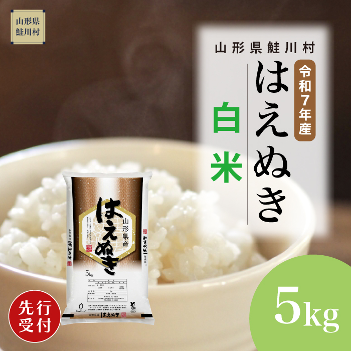 [令和7年産米先行受付] 鮭川村産 はえぬき [白米] 5kg (5kg×1袋) 配送時期指定できます!