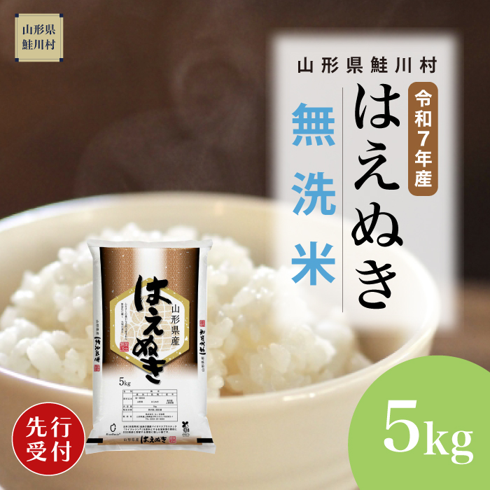[令和7年産米先行受付] 鮭川村産 はえぬき [無洗米] 5kg (5kg×1袋) 配送時期指定できます!