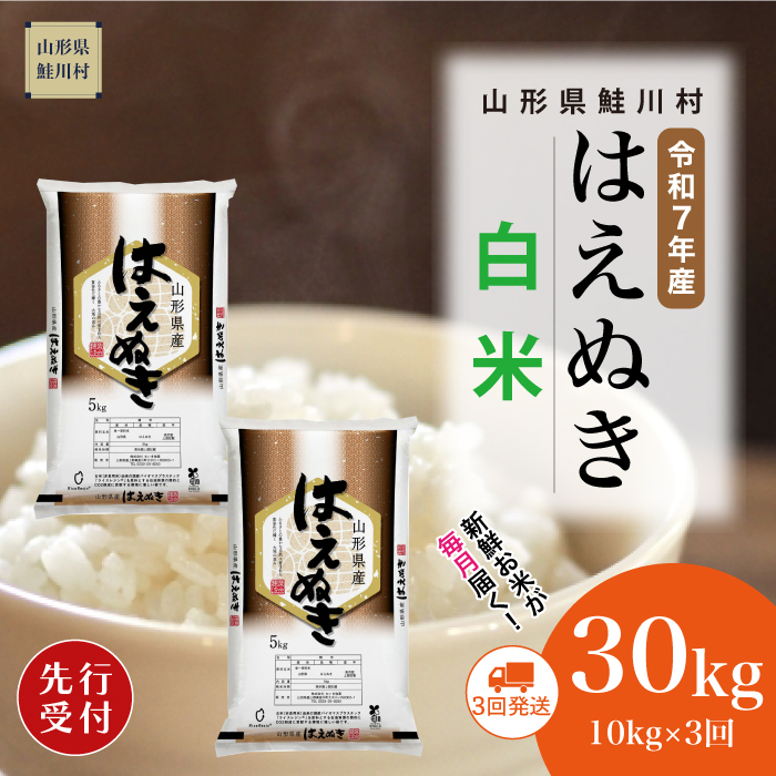 [令和7年産米先行受付] 鮭川村産 はえぬき [白米]30kg定期便 (10kg×3回) 配送時期指定できます!