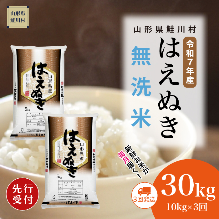 [令和7年産米先行受付] 鮭川村産 はえぬき [無洗米]30kg定期便 (10kg×3回) 配送時期指定できます!