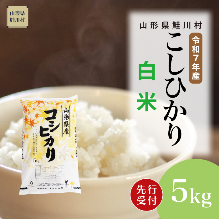 [令和7年産米先行受付] 鮭川村産 こしひかり [白米] 5kg (5kg×1袋) 配送時期指定できます!