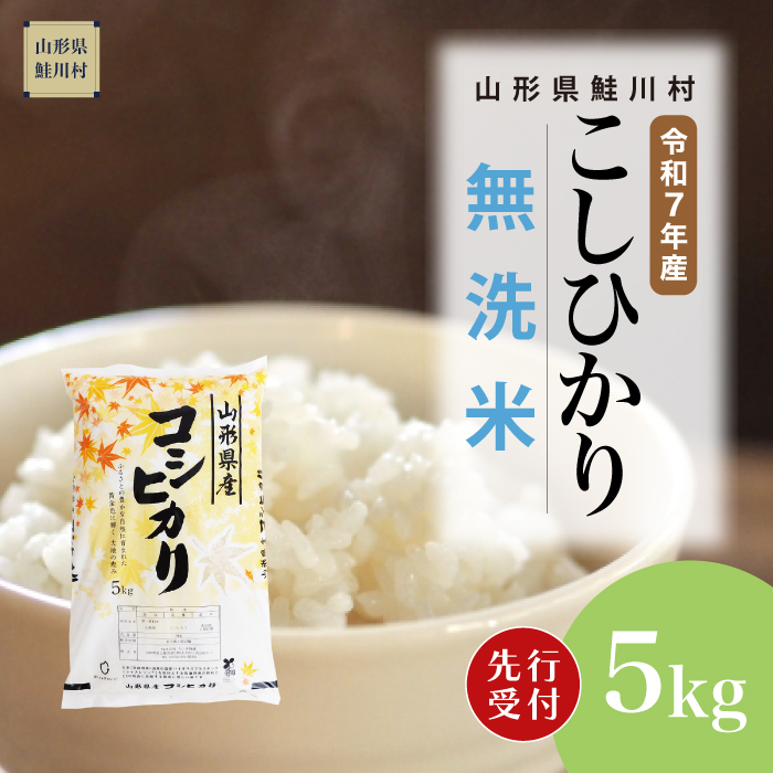 [令和7年産米先行受付] 鮭川村産 こしひかり [無洗米] 5kg (5kg×1袋) 配送時期指定できます!