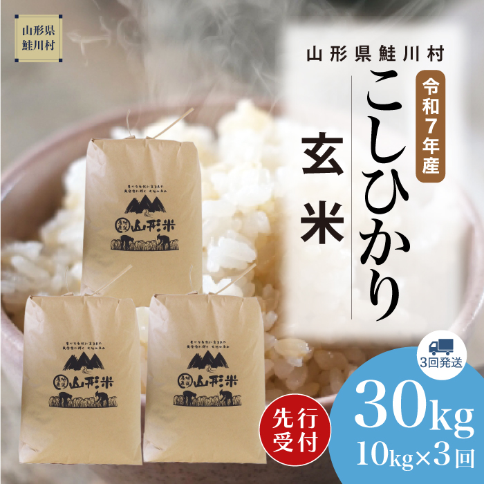 [令和7年産米先行受付] 鮭川村産 こしひかり [玄米]30kg 定期便 (10kg×3回) 配送時期指定できます!