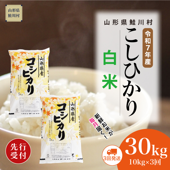 [令和7年産米先行受付] 鮭川村産 こしひかり [白米]30kg定期便 (10kg×3回) 配送時期指定できます!