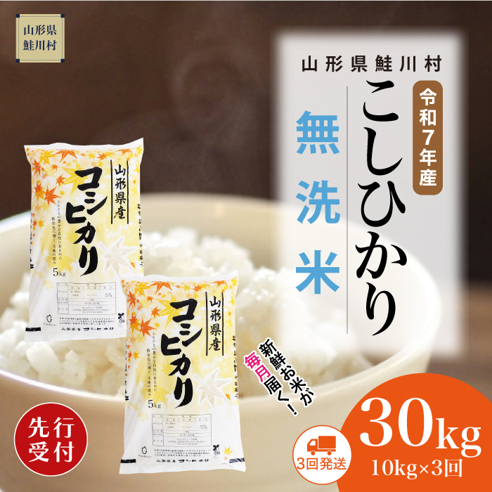 [令和7年産米先行受付] 鮭川村産 こしひかり [無洗米]30kg定期便 (10kg×3回) 配送時期指定できます!